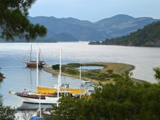 Yassica Island 1