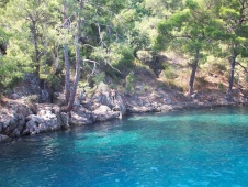 Tarzan Bay 2